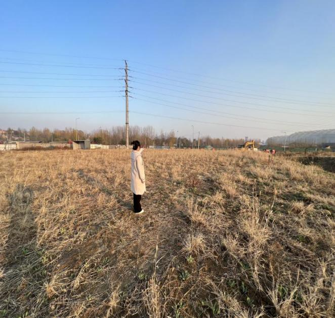 项目土地征收稳评已顺遂完结！-业绩展示-社会稳固危害评估_-稳评-社会稳固危害剖析_社会稳固危害评估报告-山东志远清静治理咨询有限公司-社会稳固危害评估_-稳评-社会稳固危害剖析_社会稳固危害评估报告-山东志远清静治理咨询有限公司