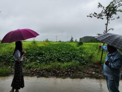 某地土地征收项目社会稳固危害评估举行中